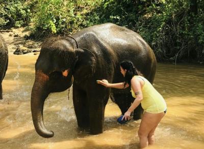 Elephant Bathing & Feeding Trip form Khaolak